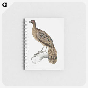1-83_Indian-Zoology_memo
