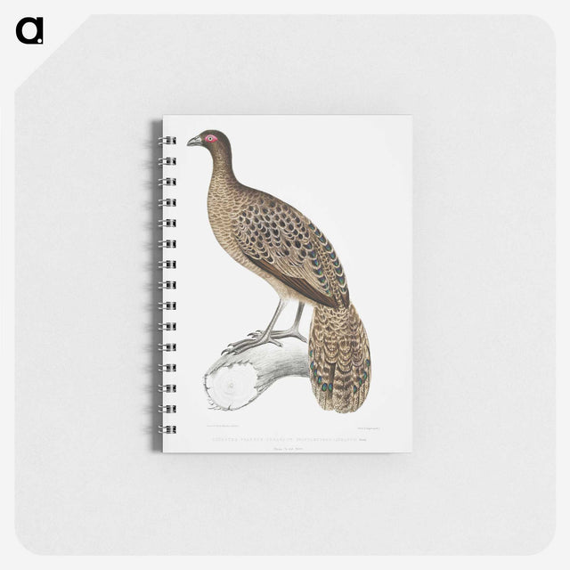 1-83_Indian-Zoology_memo