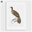 1-83_Indian-Zoology_picture