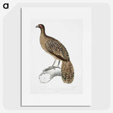 1-83_Indian-Zoology_picture