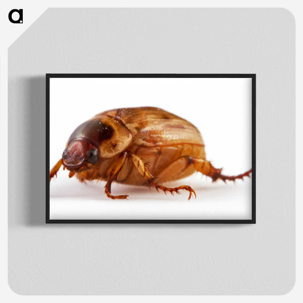 1-83_Insects-Unlocked-Project_blk-crop