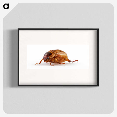 1-83_Insects-Unlocked-Project_blk