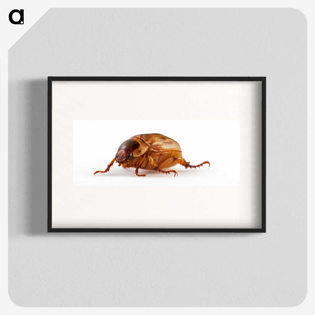 1-83_Insects-Unlocked-Project_blk