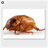 1-83_Insects-Unlocked-Project_picture-crop