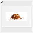 1-83_Insects-Unlocked-Project_picture