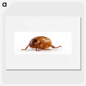 1-83_Insects-Unlocked-Project_picture
