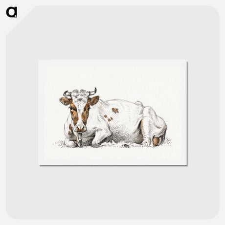アートポストカード-Lying cow - ジャン ベルナール Postcard.