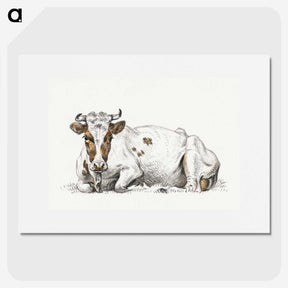 1-83_Jean-Bernard_picture