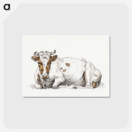 アートポストカード-Lying cow - ジャン ベルナール Postcard.