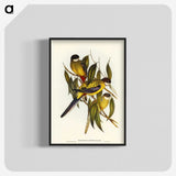 1-83_John-Gould_blk-crop