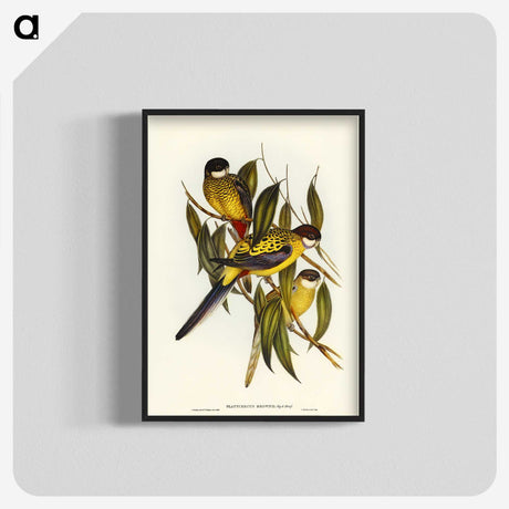 1-83_John-Gould_blk-crop