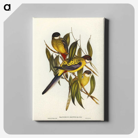 1-83_John-Gould_canvas