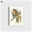 1-83_John-Gould_memo