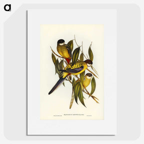 1-83_John-Gould_picture
