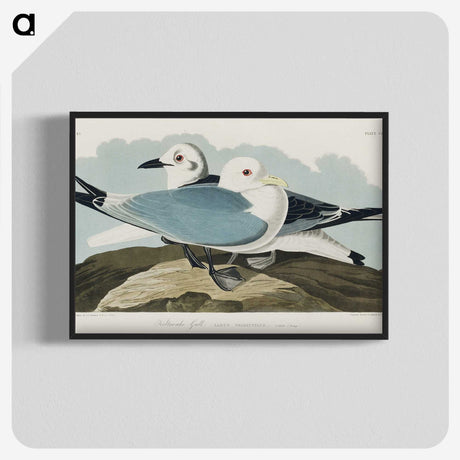 1-83_John-James-Audubon_blk-crop