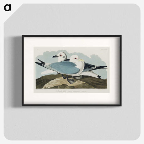 1-83_John-James-Audubon_blk
