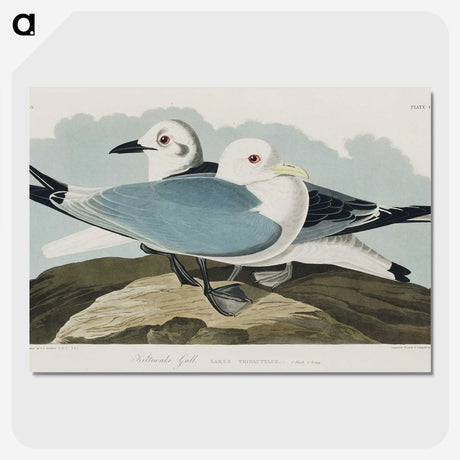 1-83_John-James-Audubon_picture-crop