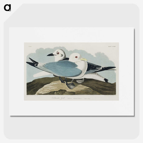 1-83_John-James-Audubon_picture