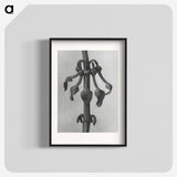 1-83_Karl-Blossfeldt_blk