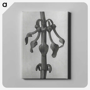 1-83_Karl-Blossfeldt_canvas