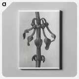 Aristolochia Clematitis - Karl Blossfeldt Canvas.