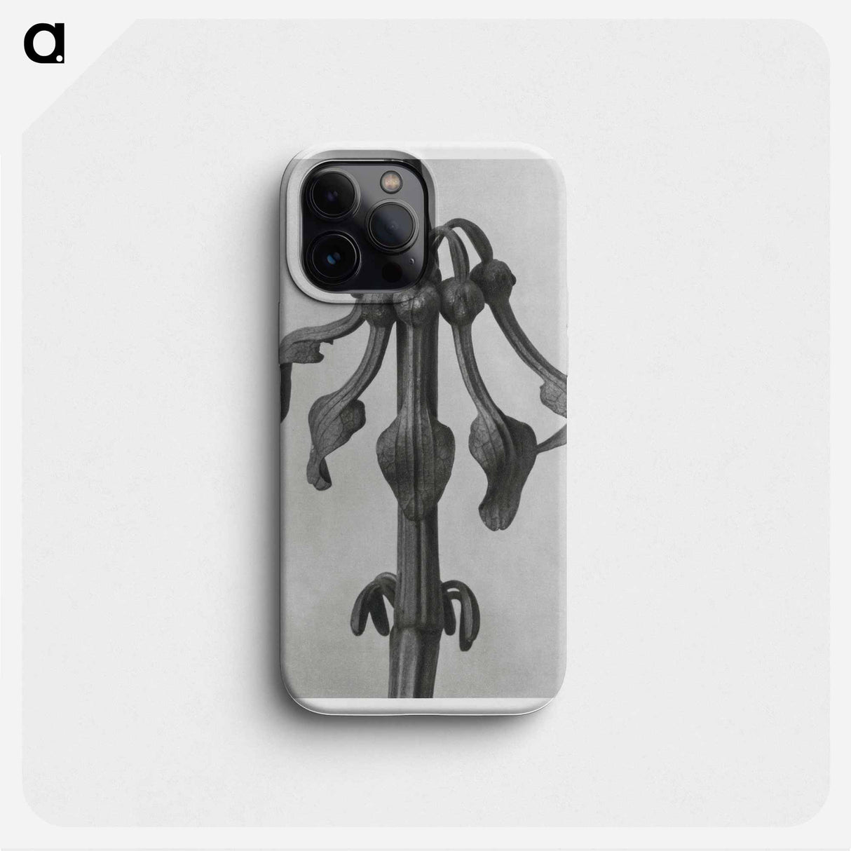 Aristolochia Clematitis - Karl Blossfeldt Phone Case.