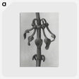 1-83_Karl-Blossfeldt_postcard