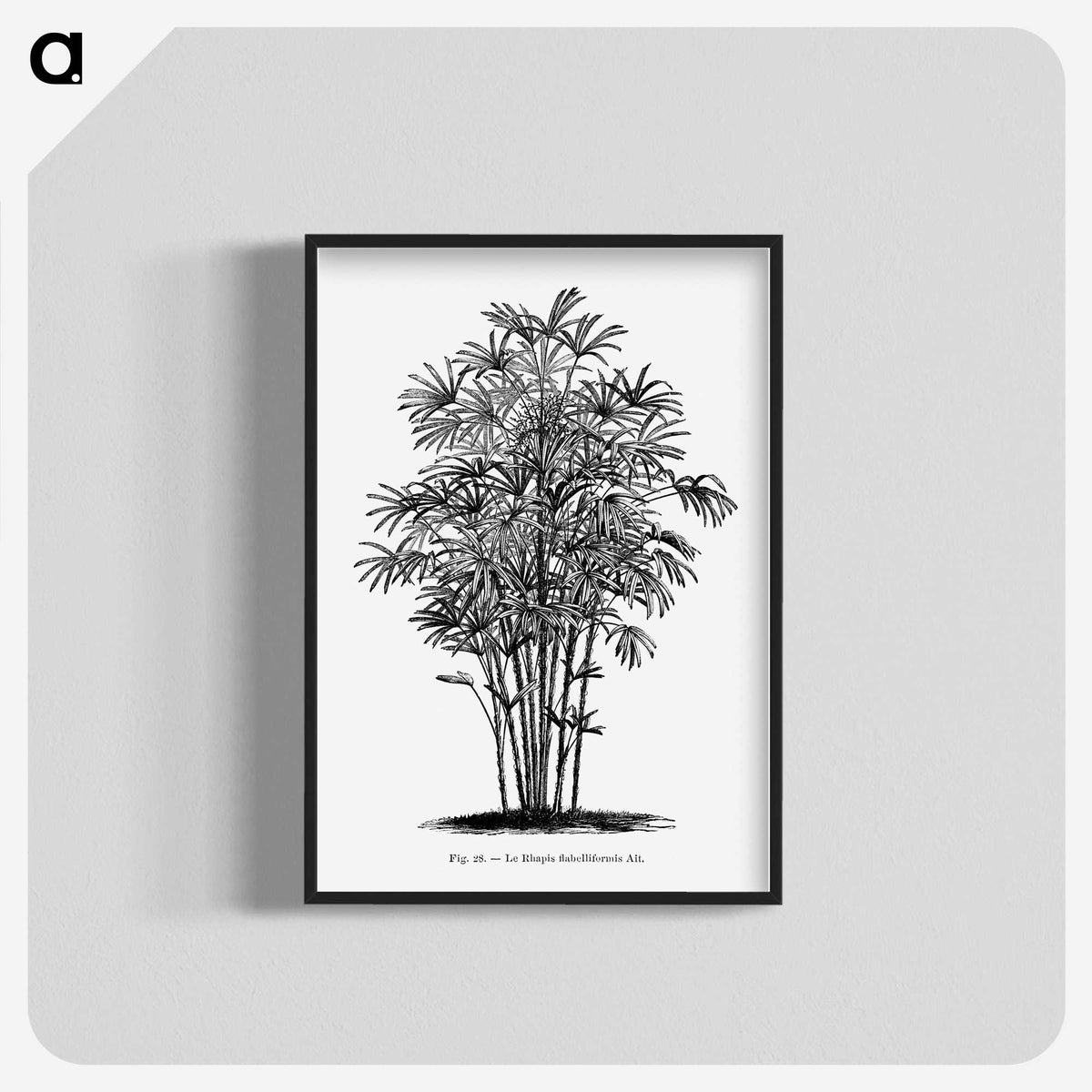 1-83_Les-Palmiers-Histoire-Iconographique_blk-crop