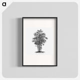 1-83_Les-Palmiers-Histoire-Iconographique_blk