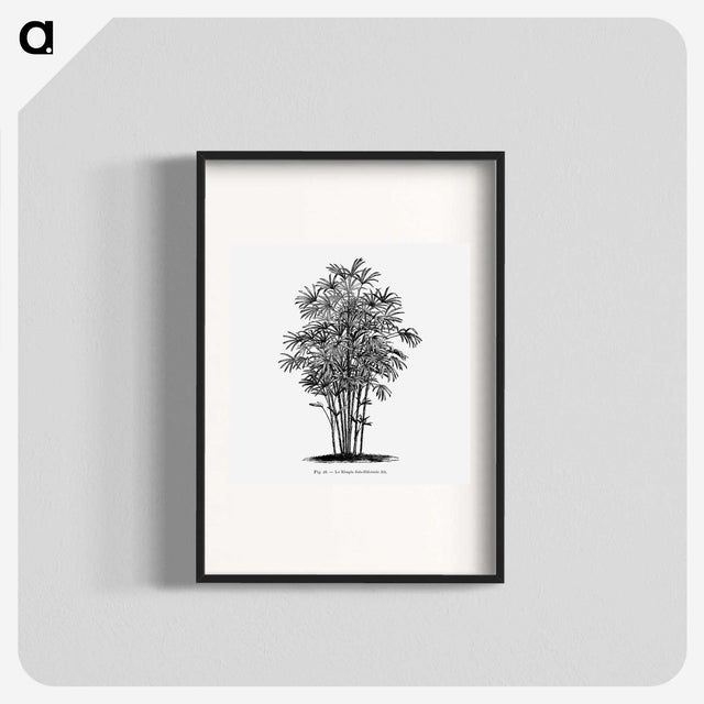 1-83_Les-Palmiers-Histoire-Iconographique_blk