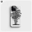 1-83_Les-Palmiers-Histoire-Iconographique_phone