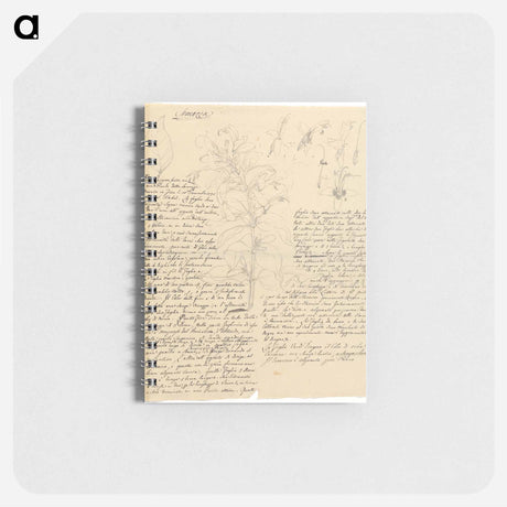 アートメモ帳-Semezza
 - ルイージ バルガーニ Memo.