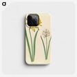 1-83_Maria-Sibylla-Merian_phone