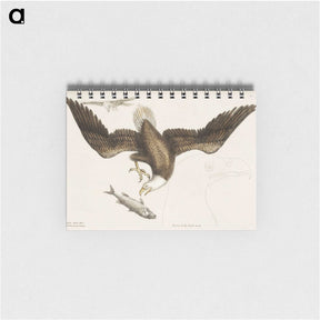 1-83_Mark-Catesby_memo