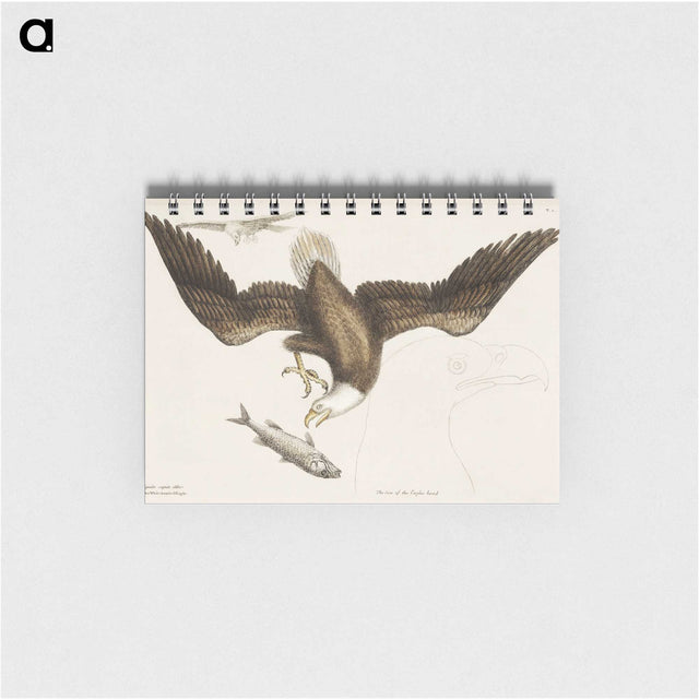 1-83_Mark-Catesby_memo