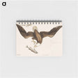 アートメモ帳-White Headed Eagle
 - マーク ケイツビー Memo.