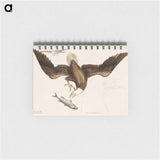 アートメモ帳-White Headed Eagle
 - マーク ケイツビー Memo.