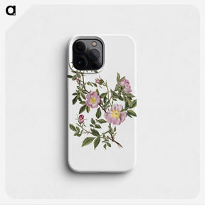 1-83_Mary-Vaux-Walcott_phone