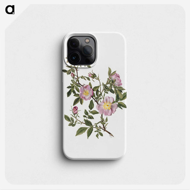 1-83_Mary-Vaux-Walcott_phone