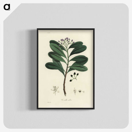 1-83_Medical-Botany_blk-crop