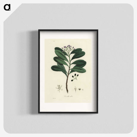1-83_Medical-Botany_blk