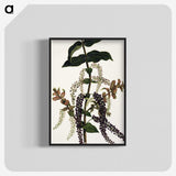 1-83_Native-Flowering-Plants-of-New-Zealand_blk-crop