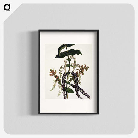 1-83_Native-Flowering-Plants-of-New-Zealand_blk