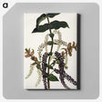 1-83_Native-Flowering-Plants-of-New-Zealand_canvas