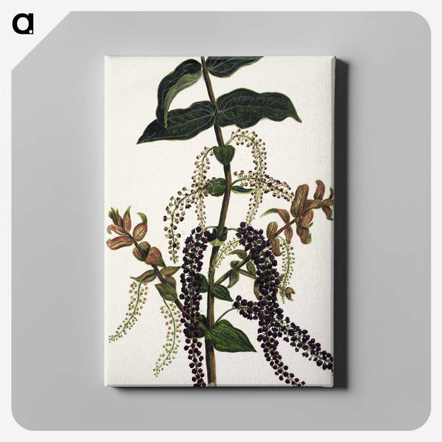 1-83_Native-Flowering-Plants-of-New-Zealand_canvas