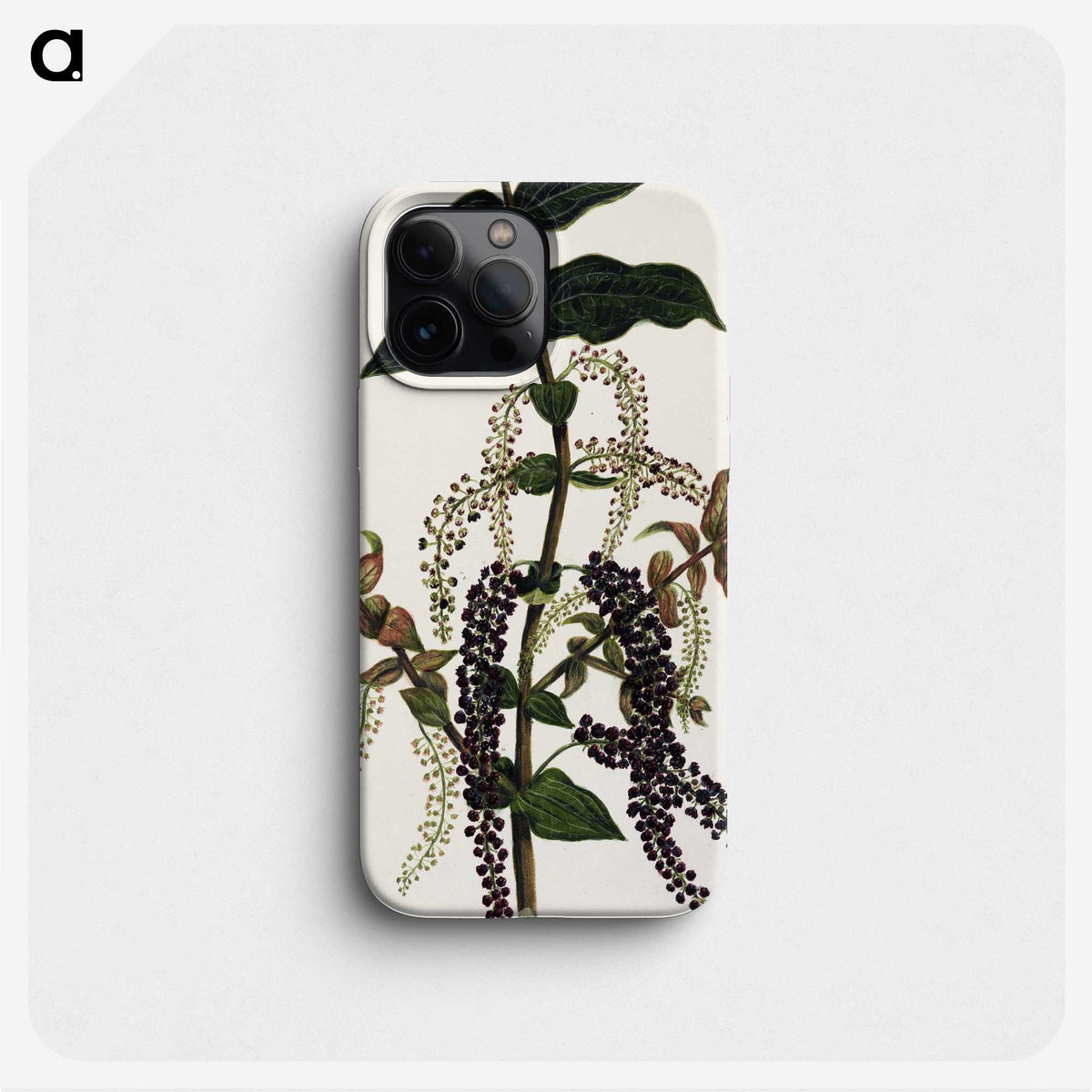 1-83_Native-Flowering-Plants-of-New-Zealand_phone