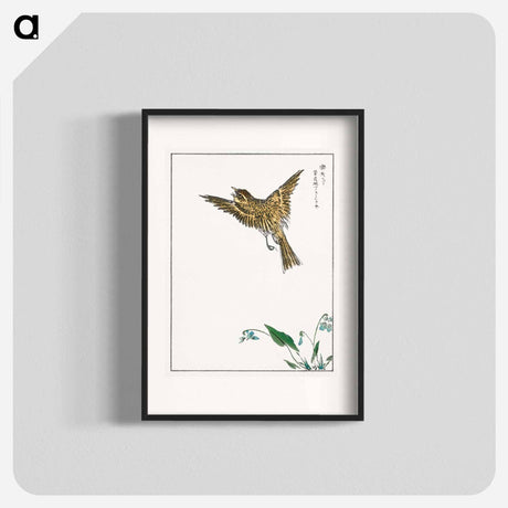 アートポスター-Japanese Water-Pipit and Viola
 - 鳥類図鑑 Poster.