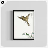 1-83_Pictorial-Monograph-of-Birds_blk-crop