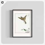 1-83_Pictorial-Monograph-of-Birds_blk