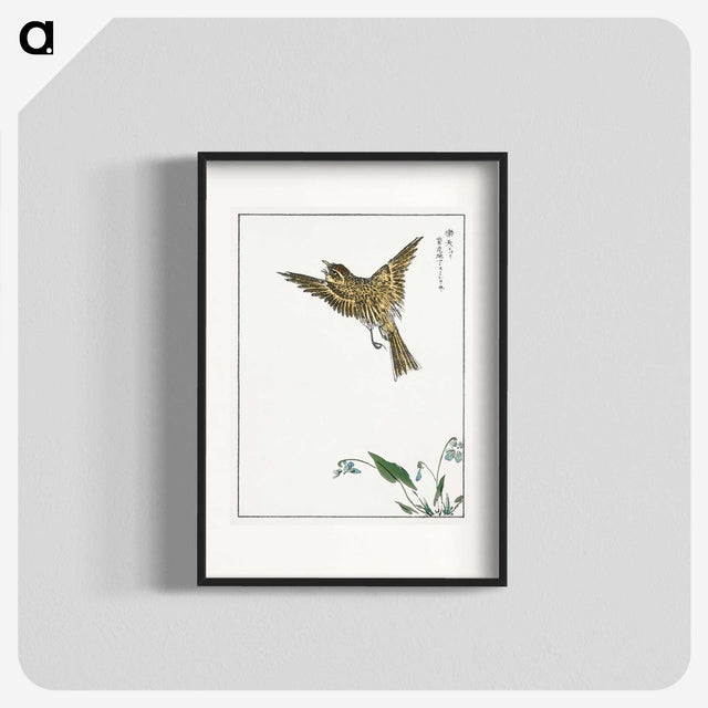 1-83_Pictorial-Monograph-of-Birds_blk